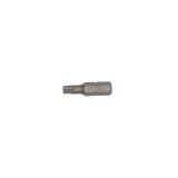 Grot Torx TPx25 długość 25 mm (3 szt.)          